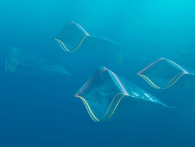 How should plastics change to protect marine life?